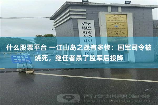 什么股票平台 一江山岛之战有多惨：国军司令被烧死，继任者杀了监军后投降