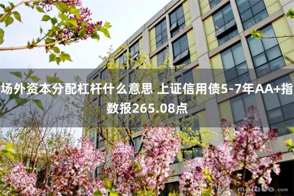 场外资本分配杠杆什么意思 上证信用债5-7年AA+指数报265.08点