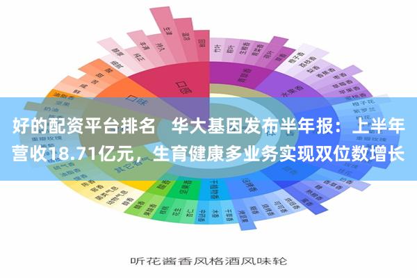 好的配资平台排名   华大基因发布半年报：上半年营收18.71亿元，生育健康多业务实现双位数增长