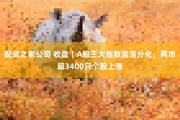 配资之家公司 收盘丨A股三大指数震荡分化，两市超3400只个股上涨