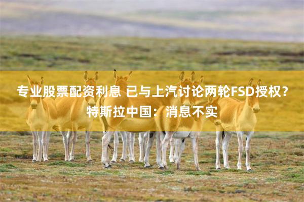 专业股票配资利息 已与上汽讨论两轮FSD授权？特斯拉中国：消息不实