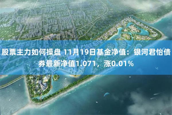 股票主力如何操盘 11月19日基金净值：银河君怡债券最新净值1.071，涨0.01%