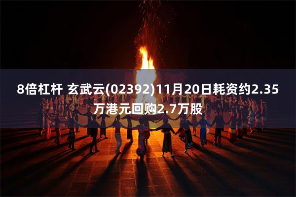 8倍杠杆 玄武云(02392)11月20日耗资约2.35万港元回购2.7万股