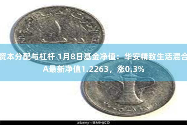 资本分配与杠杆 1月8日基金净值：华安精致生活混合A最新净值1.2263，涨0.3%