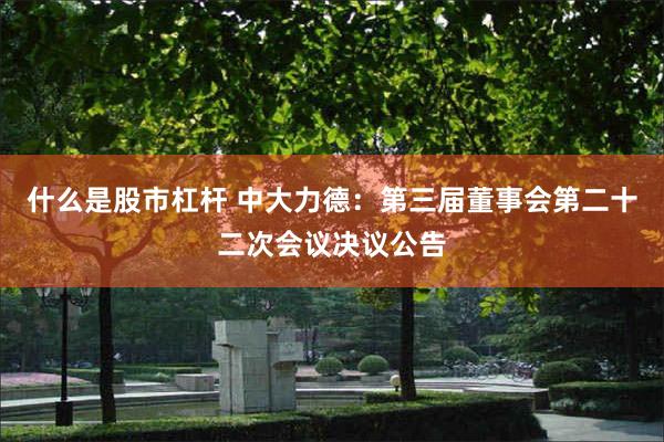 什么是股市杠杆 中大力德：第三届董事会第二十二次会议决议公告