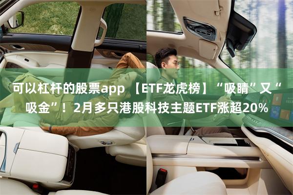 可以杠杆的股票app 【ETF龙虎榜】“吸睛”又“吸金”！2月多只港股科技主题ETF涨超20%