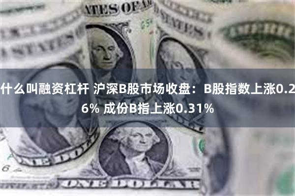 什么叫融资杠杆 沪深B股市场收盘：B股指数上涨0.26% 成份B指上涨0.31%